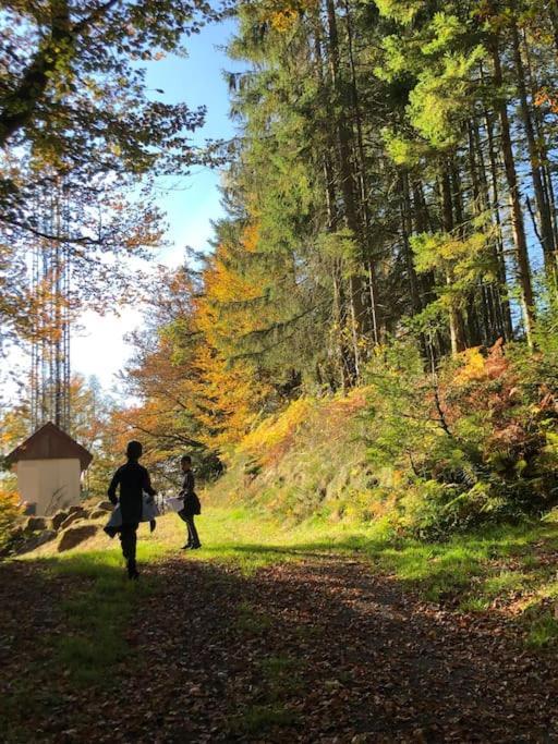 Le Chalet Des Coeurs Le Tholy Zewnętrze zdjęcie