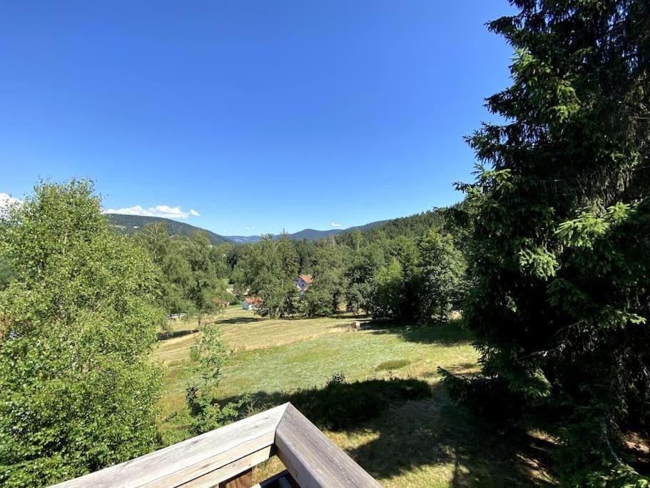 Le Chalet Des Coeurs Le Tholy Zewnętrze zdjęcie