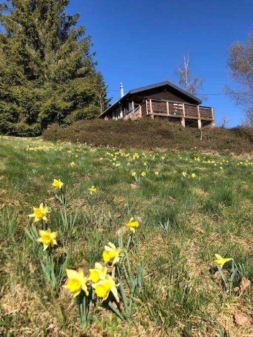 Le Chalet Des Coeurs Le Tholy Zewnętrze zdjęcie