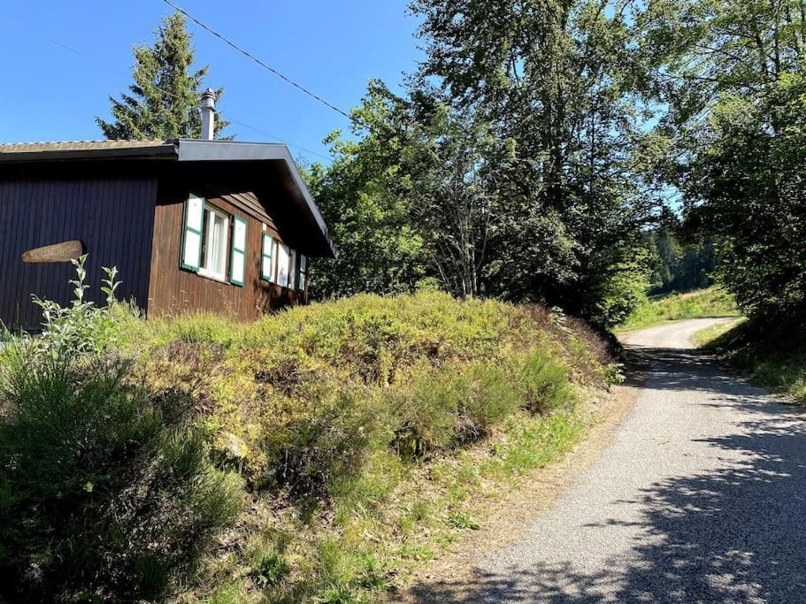 Le Chalet Des Coeurs Le Tholy Zewnętrze zdjęcie